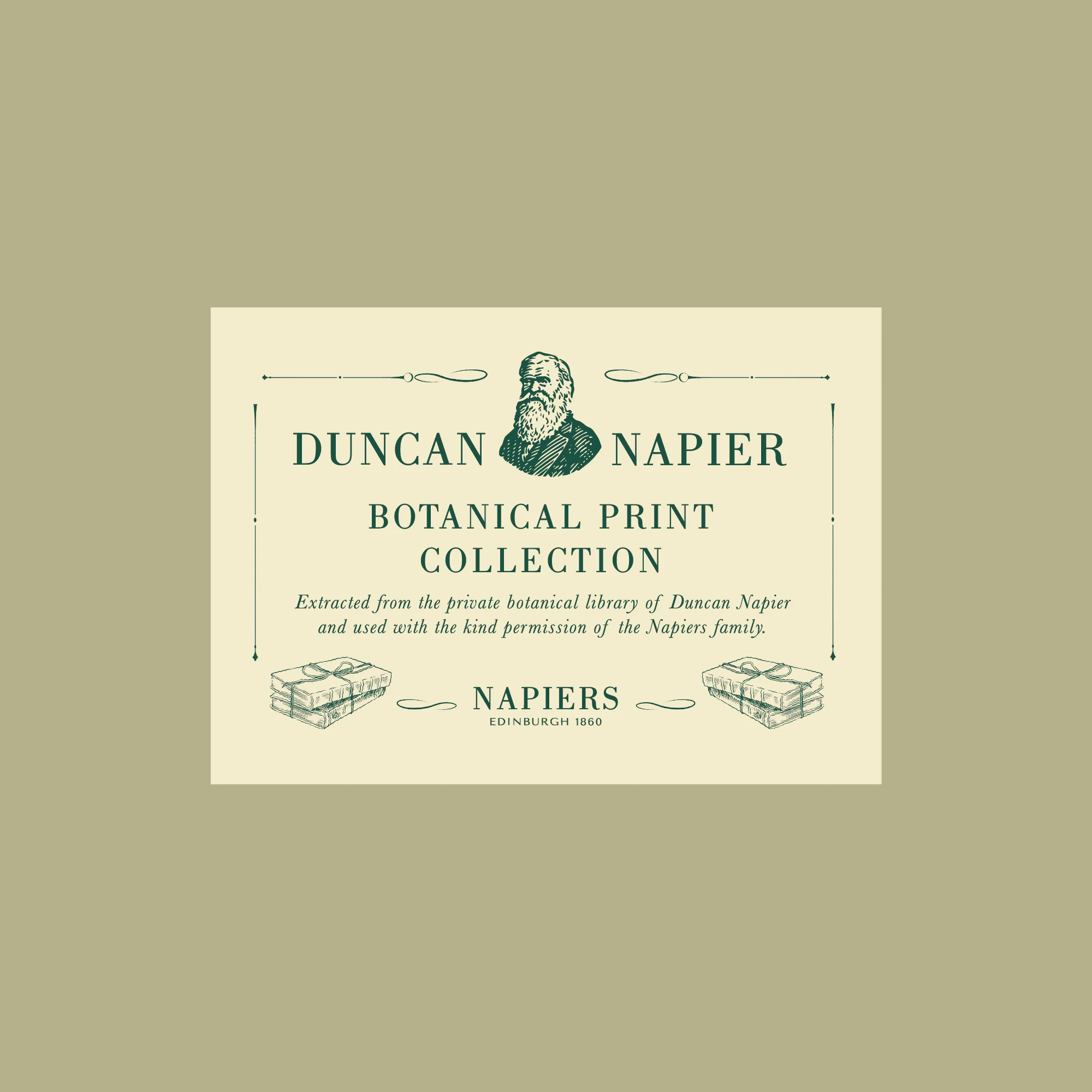 Napiers Botanical Prints - Image 14